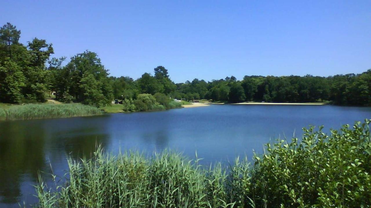 La Colline De Tilleul - Les Deux Puits - Cosy Cottage With Swimming Pool Near Aubeterre Saint-Romain  Exterior foto