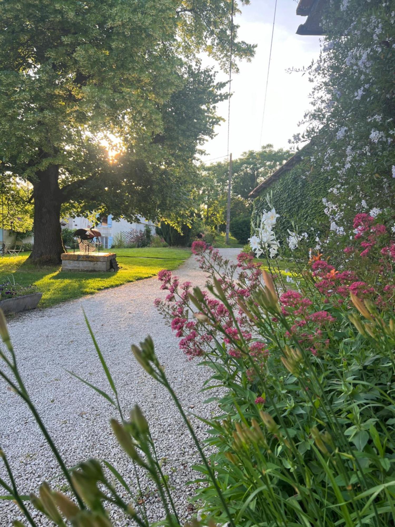 La Colline De Tilleul - Les Deux Puits - Cosy Cottage With Swimming Pool Near Aubeterre Saint-Romain  Exterior foto